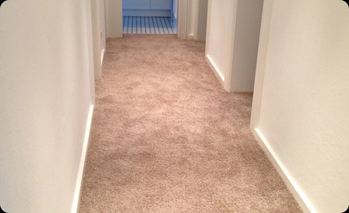 Beiger Teppichboden für Büros in Bietigheim