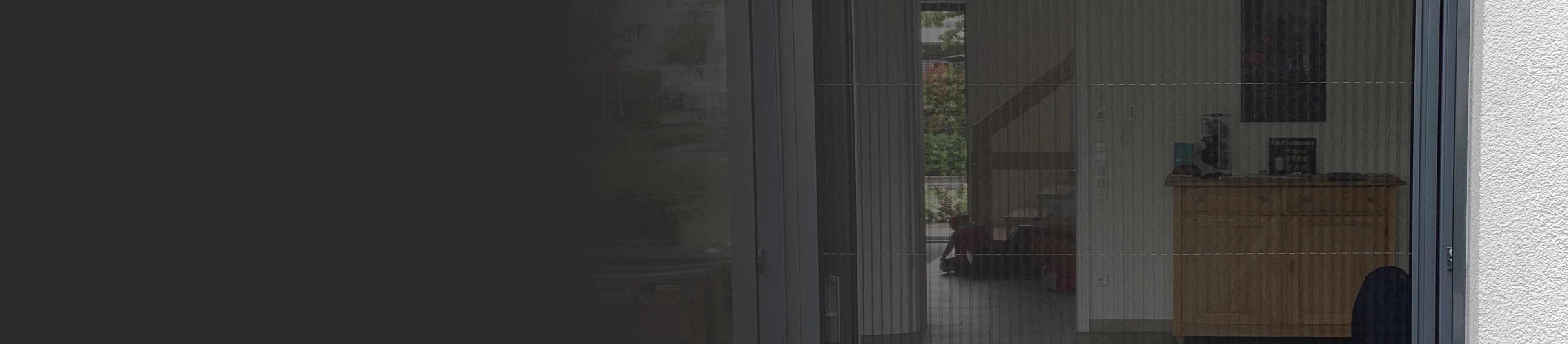 Terassentür mit Insektenschutz